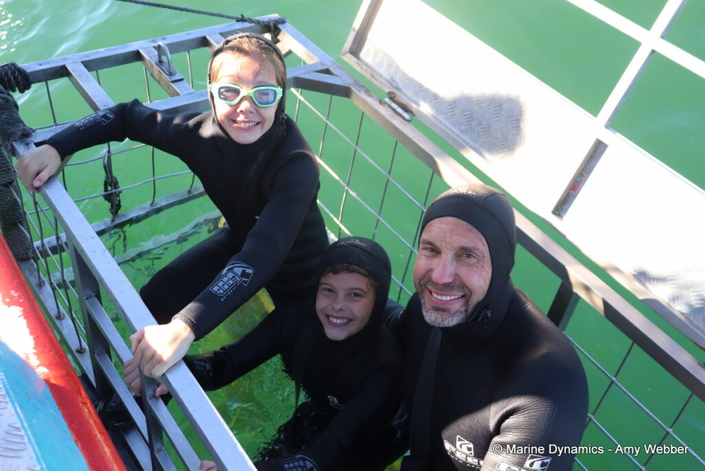 Shark cage diving, Gansbaai, South Africa