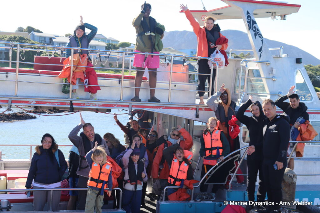Shark cage diving, Gansbaai, South Africa