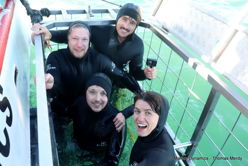 Shark cage diving, Gansbaai, South Africa