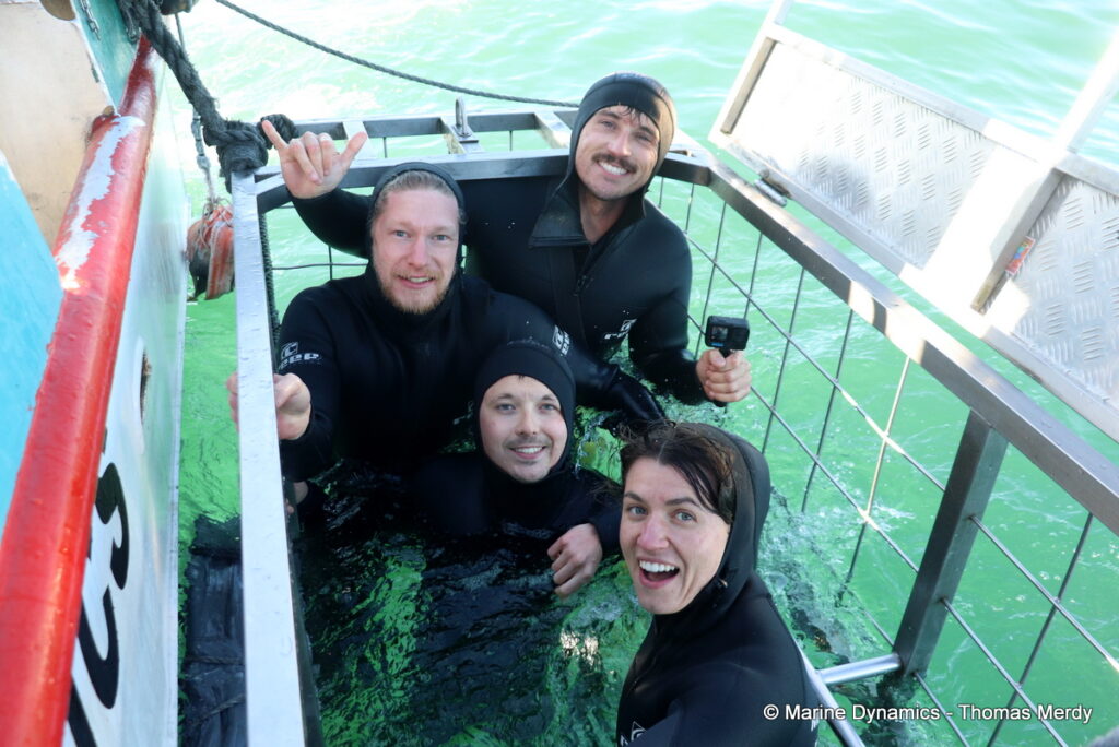 Shark cage diving, Gansbaai, South Africa