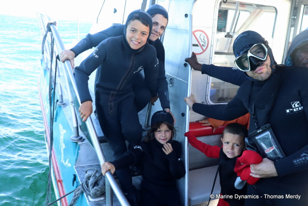 Shark cage diving, Gansbaai, South Africa