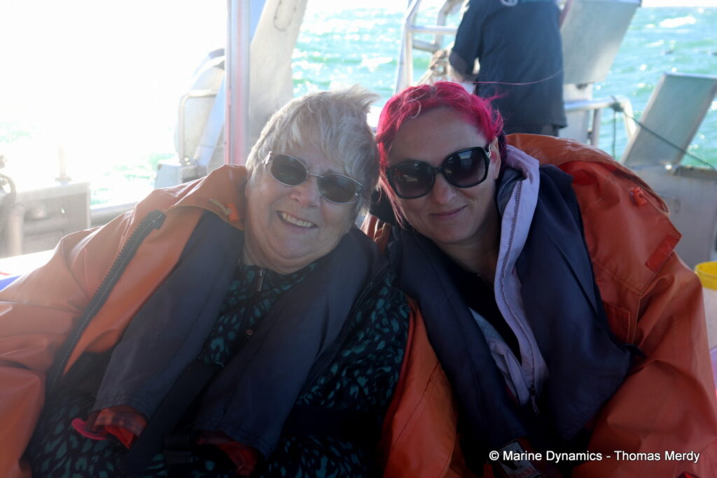 Shark cage diving, Gansbaai, South Africa