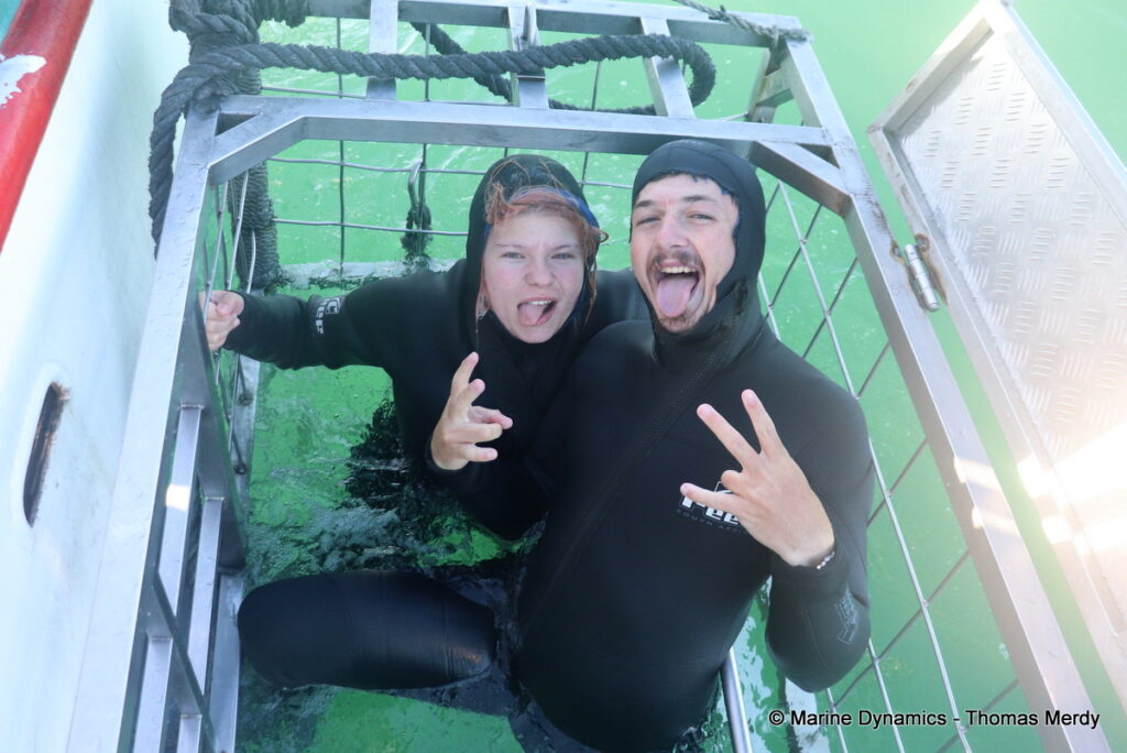 Shark cage diving, Gansbaai, South Africa