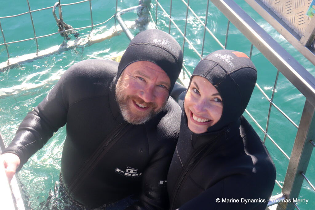 Shark cage diving, South Africa, gansbaai