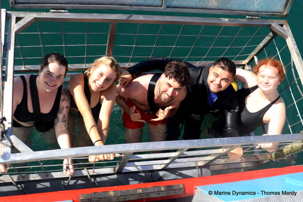 Shark cage diving, South Africa, gansbaai