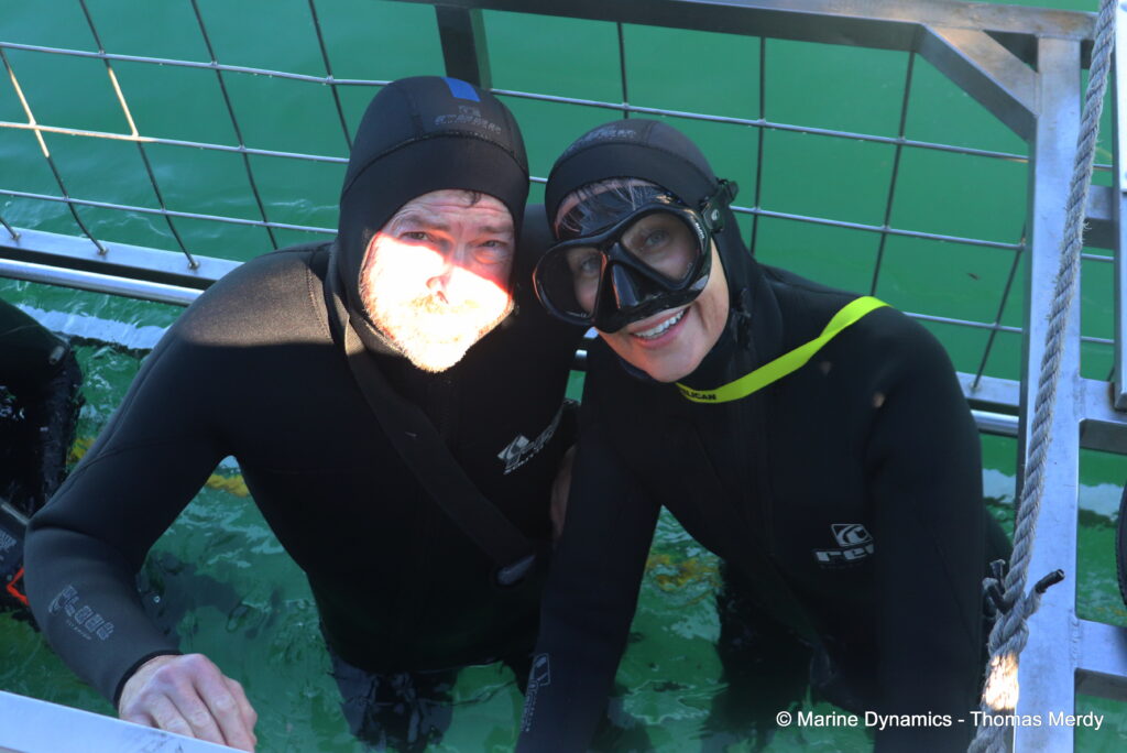 Shark cage diving, South Africa, gansbaai