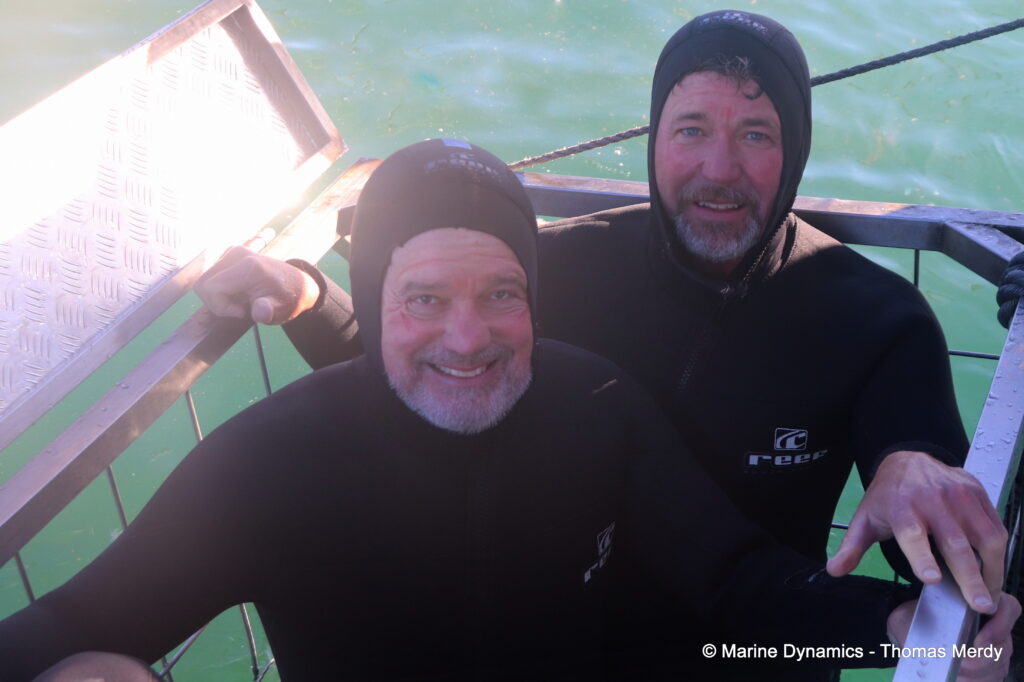 Shark cage diving, South Africa, gansbaai