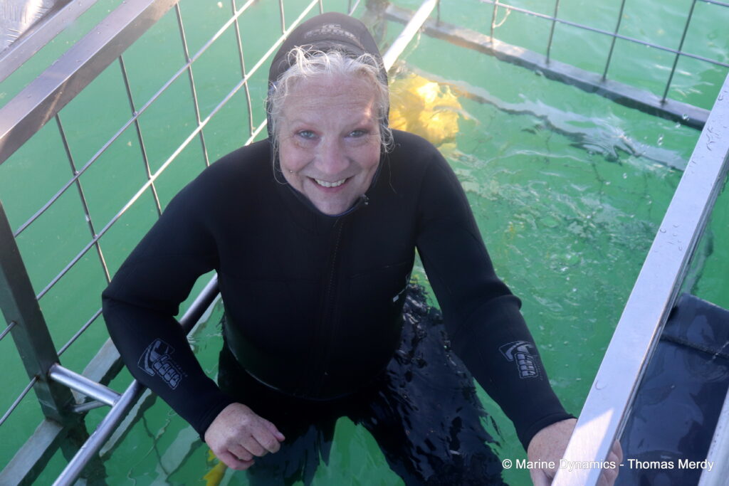 Shark cage diving, South Africa, gansbaai