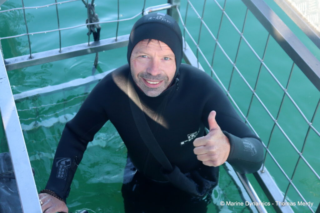 Shark cage diving, South Africa, gansbaai