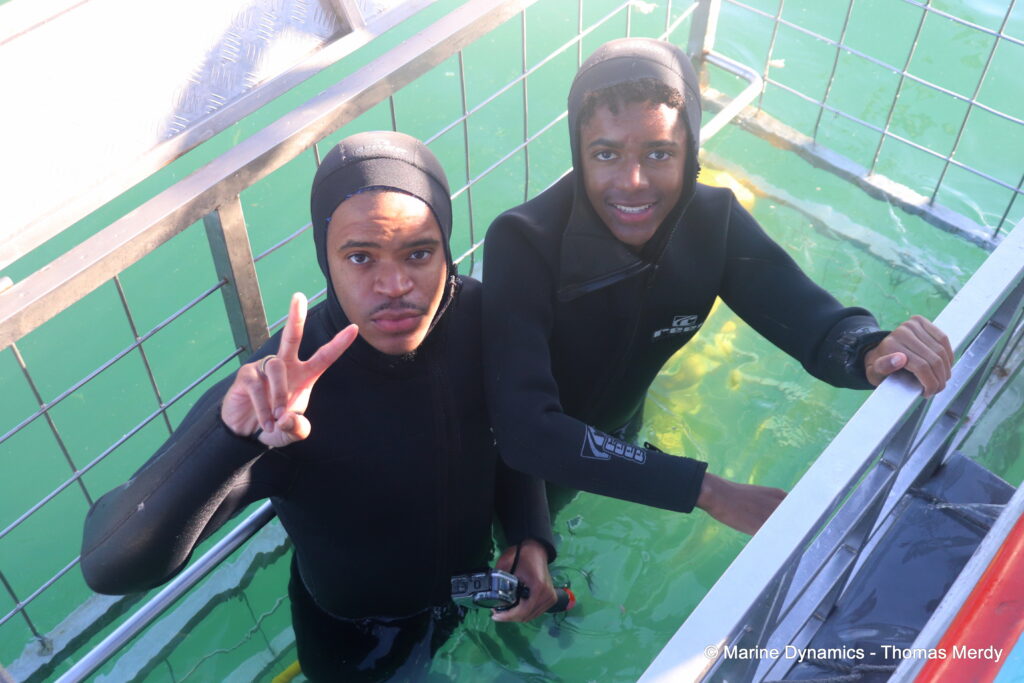 Shark cage diving, South Africa, gansbaai