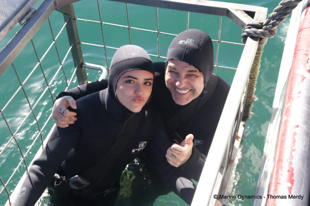 Shark cage diving, South Africa, gansbaai