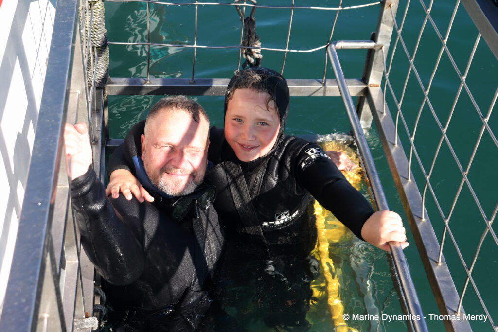 Shark cage diving, South Africa, gansbaai