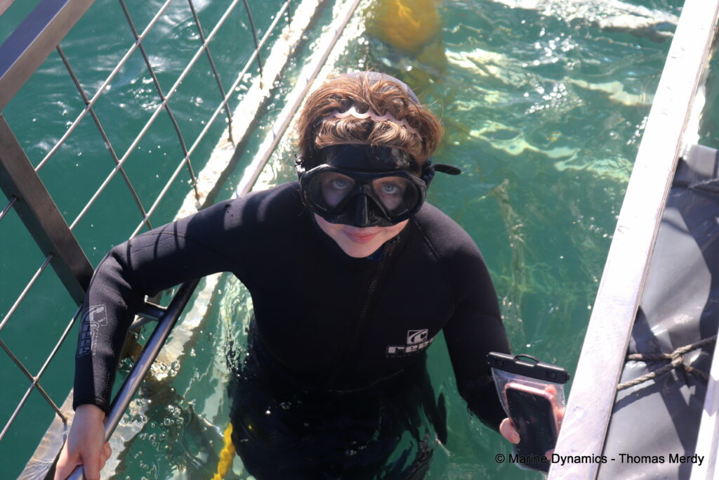 Shark cage diving, South Africa, gansbaai