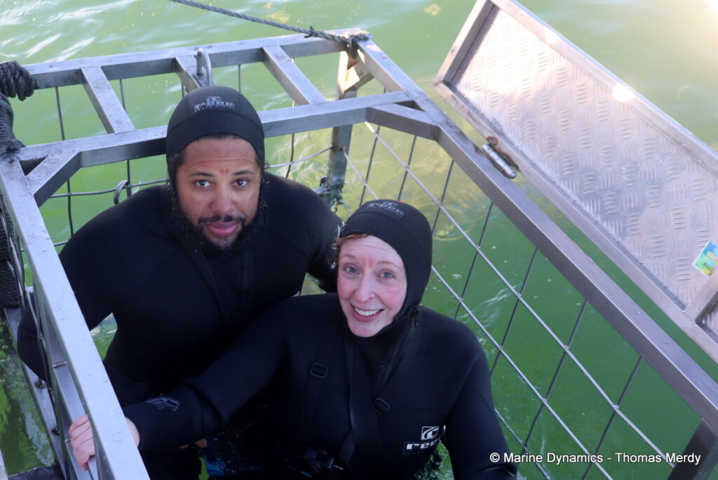 Shark cage diving, South Africa, gansbaai