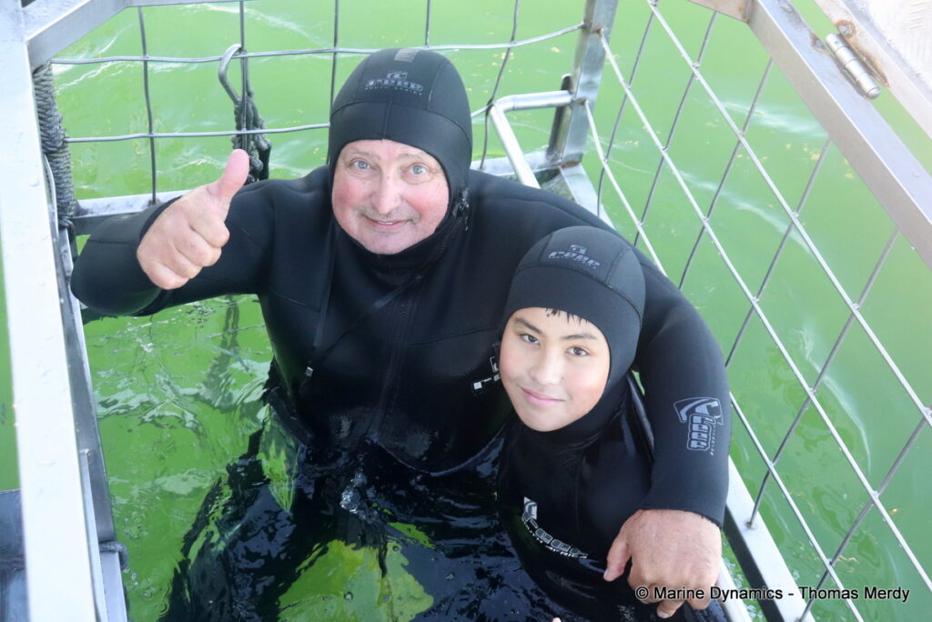 Shark cage diving, South Africa, gansbaai