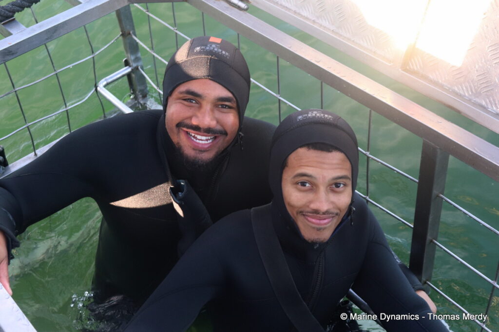 Shark cage diving, South Africa, gansbaai
