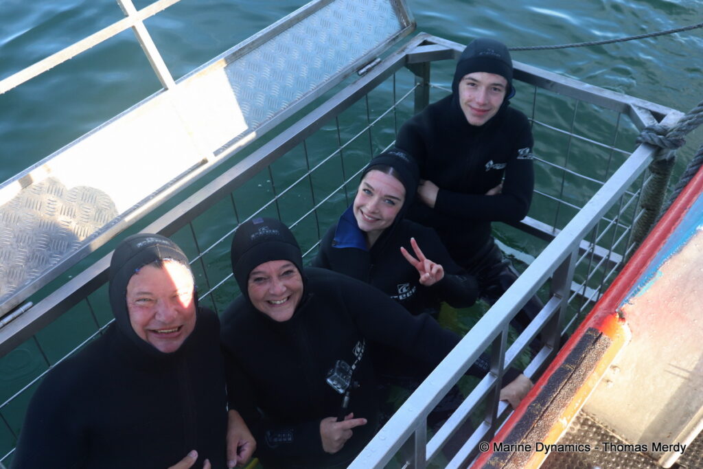 Shark cage diving, South Africa, gansbaai