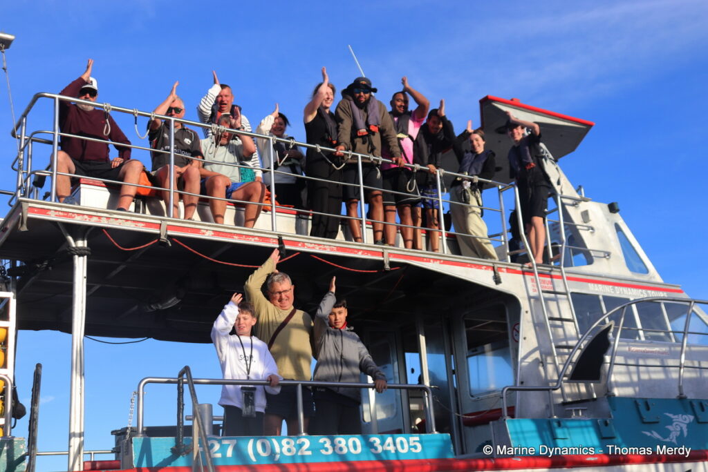 Shark cage diving, South Africa, gansbaai