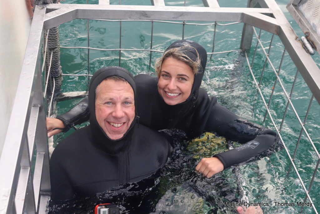 Shark cage diving, South Africa, Gansbaai