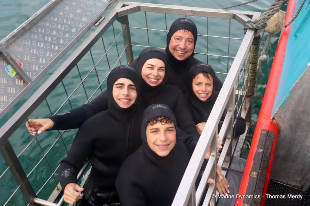 Shark cage diving, South Africa, Gansbaai