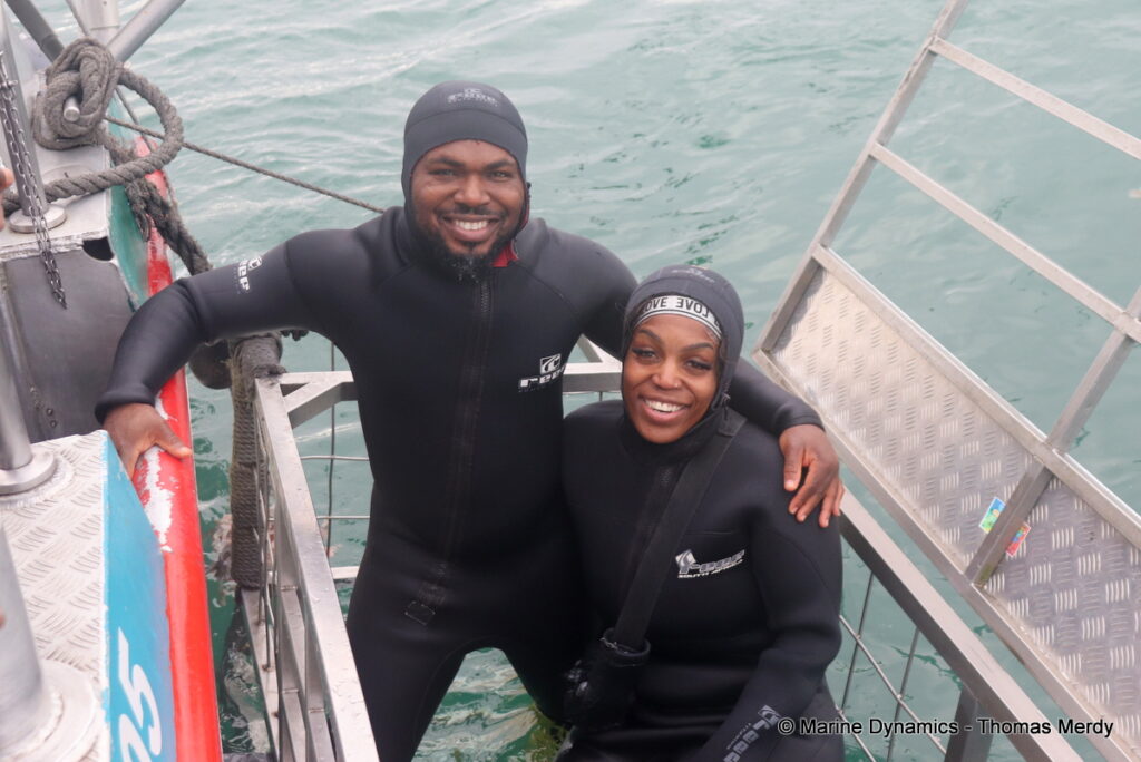 Shark cage diving, South Africa, Gansbaai