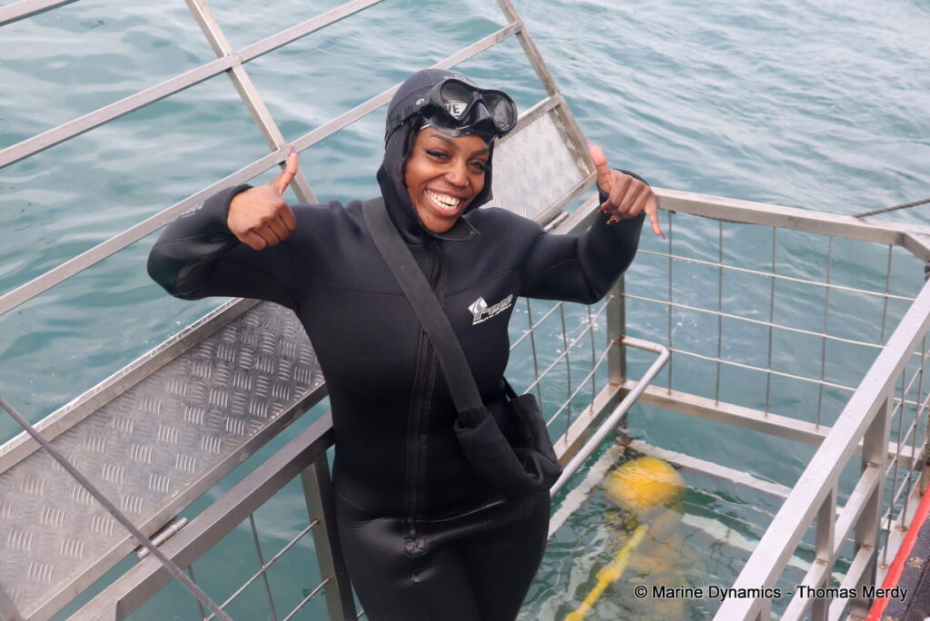 Shark cage diving, South Africa, Gansbaai