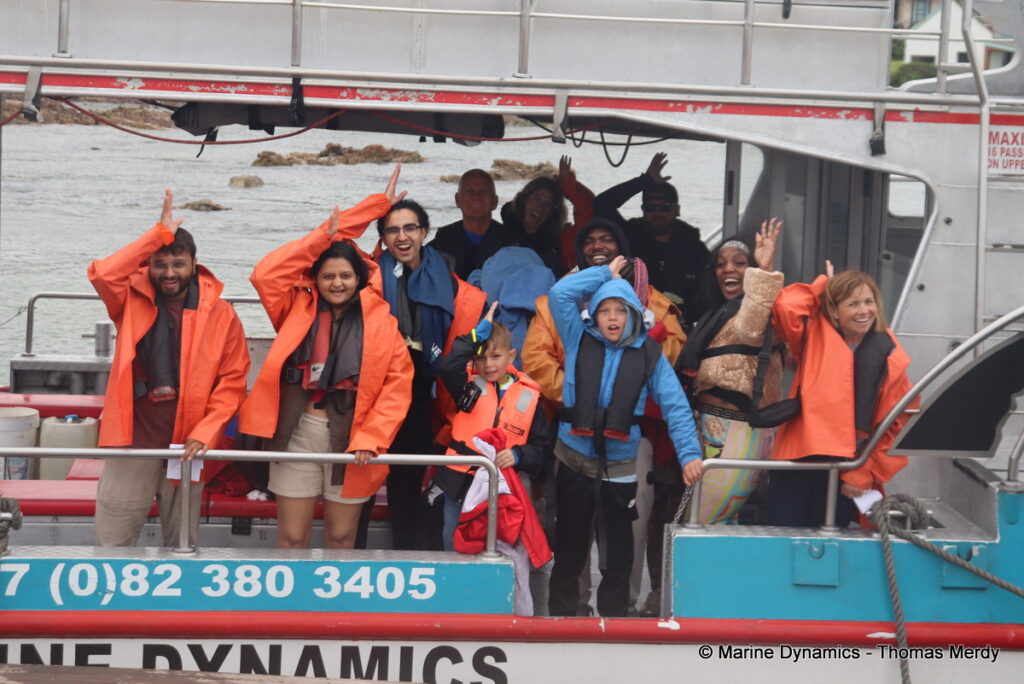 Shark cage diving, South Africa, Gansbaai