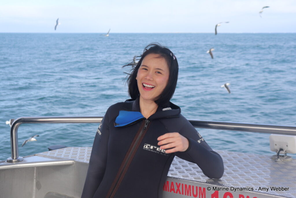 Shark cage diving, Gansbaai, South Africa