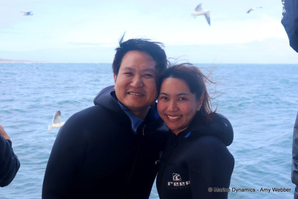Shark cage diving, Gansbaai, South Africa