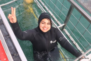 Shark cage diving, South Africa, Gansbaai