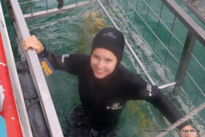 Shark cage diving, South Africa, Gansbaai