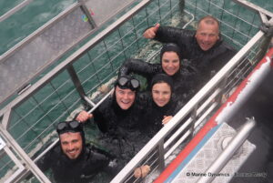Shark cage diving, South Africa, Gansbaai