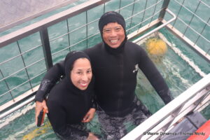 Shark cage diving, South Africa, Gansbaai