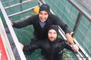 Shark cage diving, South Africa, Gansbaai