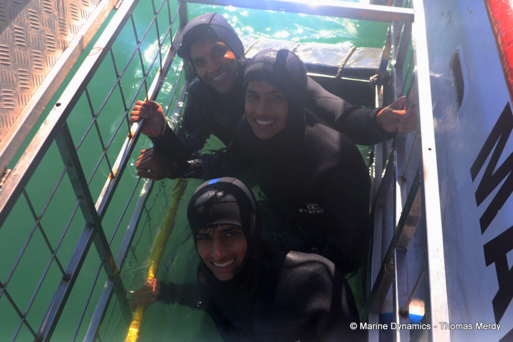 Shark cage diving, South Africa, Gansbaai