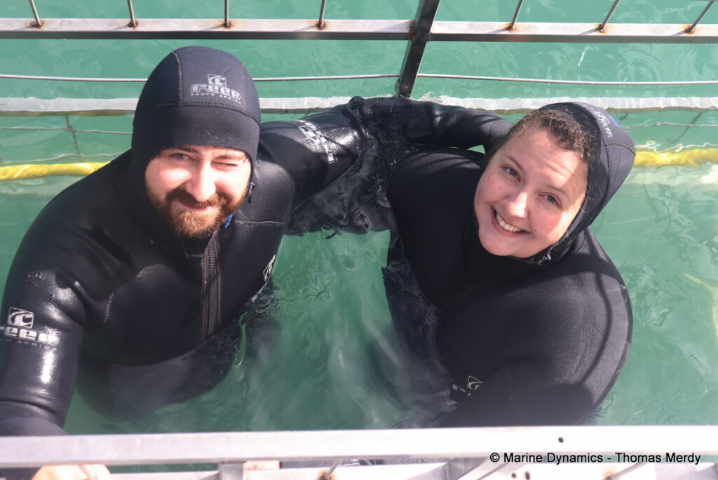 Shark cage diving, South Africa, Gansbaai