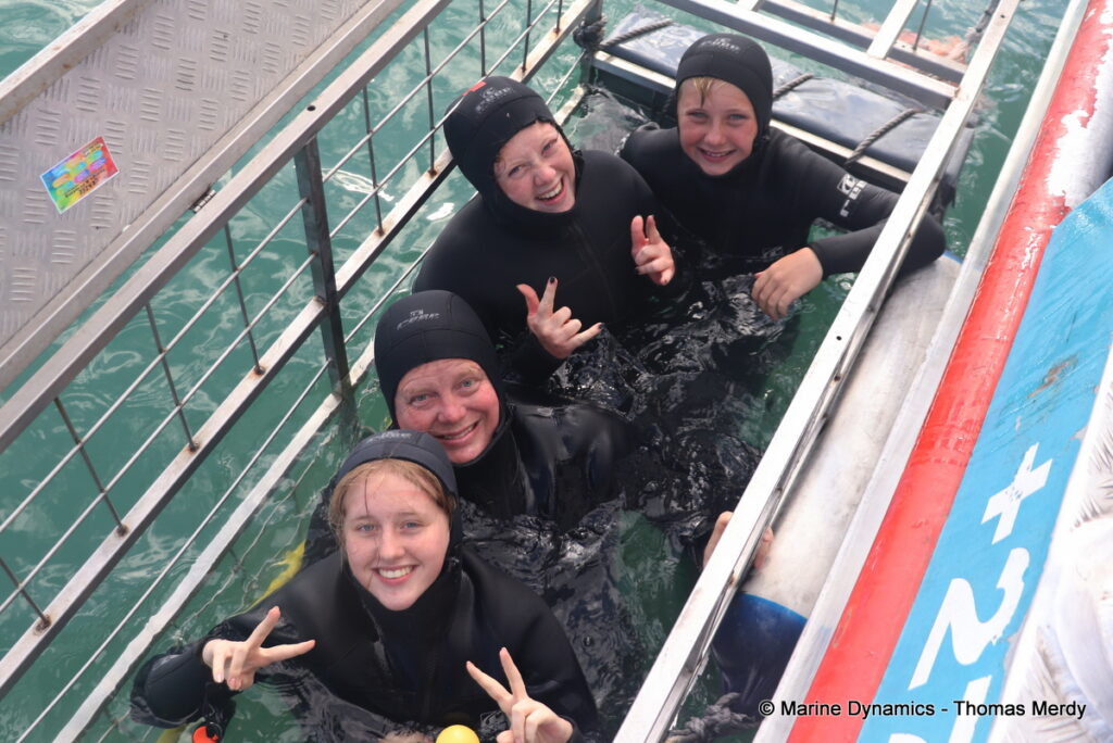 Shark cage diving, South Africa, Gansbaai