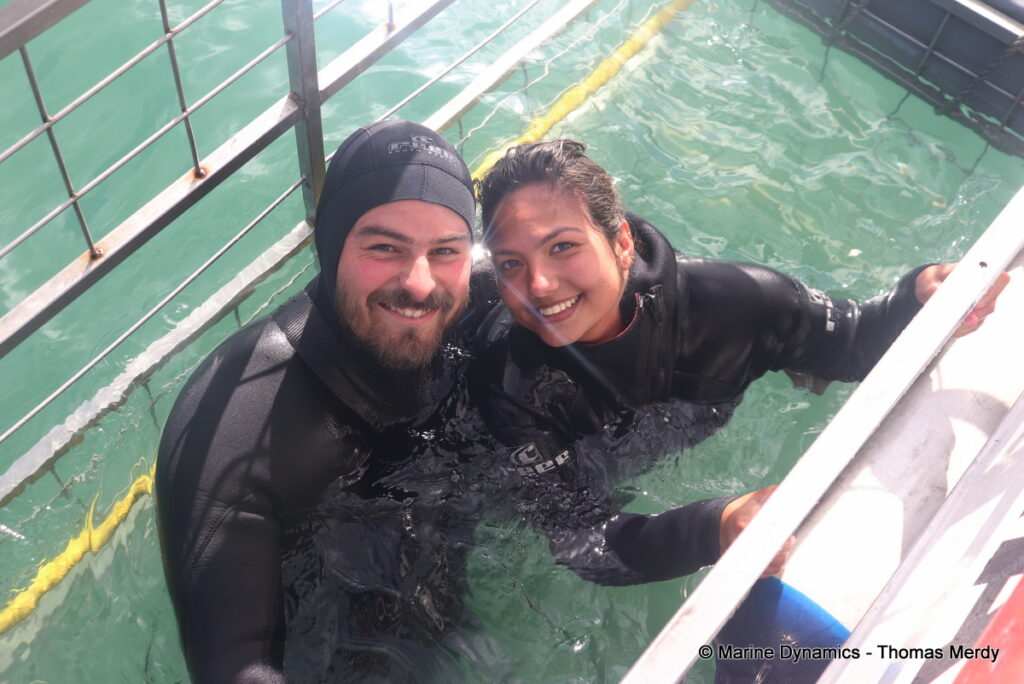 Shark cage diving, South Africa, Gansbaai