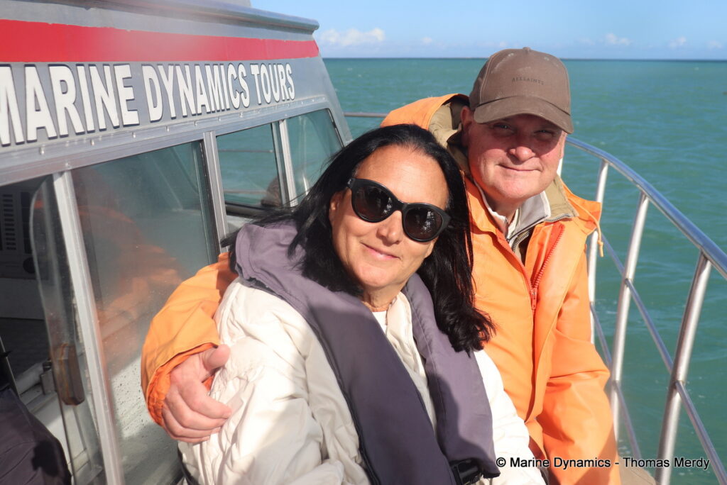 Shark cage diving, South Africa, Gansbaai
