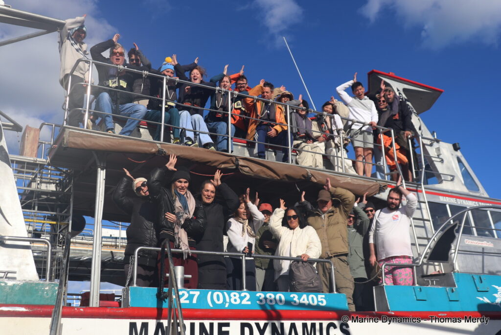 Shark cage diving, South Africa, Gansbaai