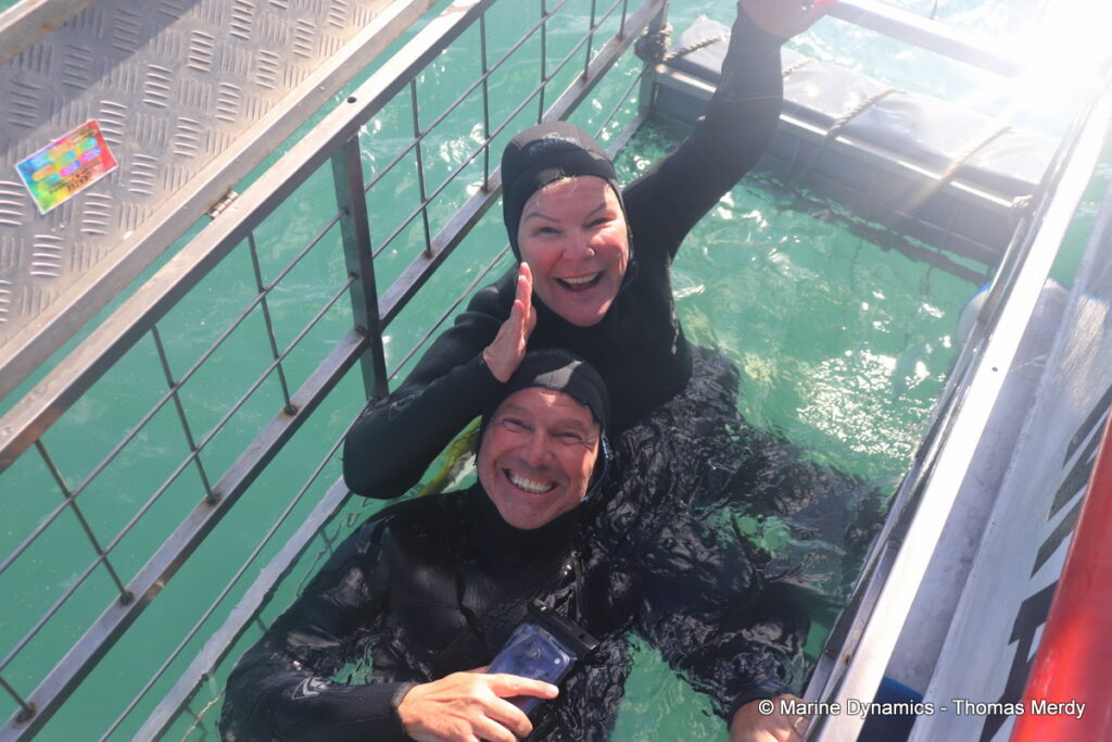 Shark cage diving, south africa, Ganbsaai