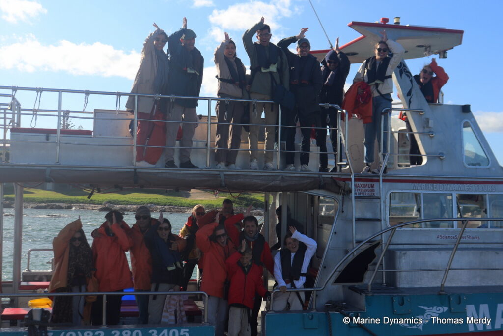 Shark cage diving, south africa, Ganbsaai