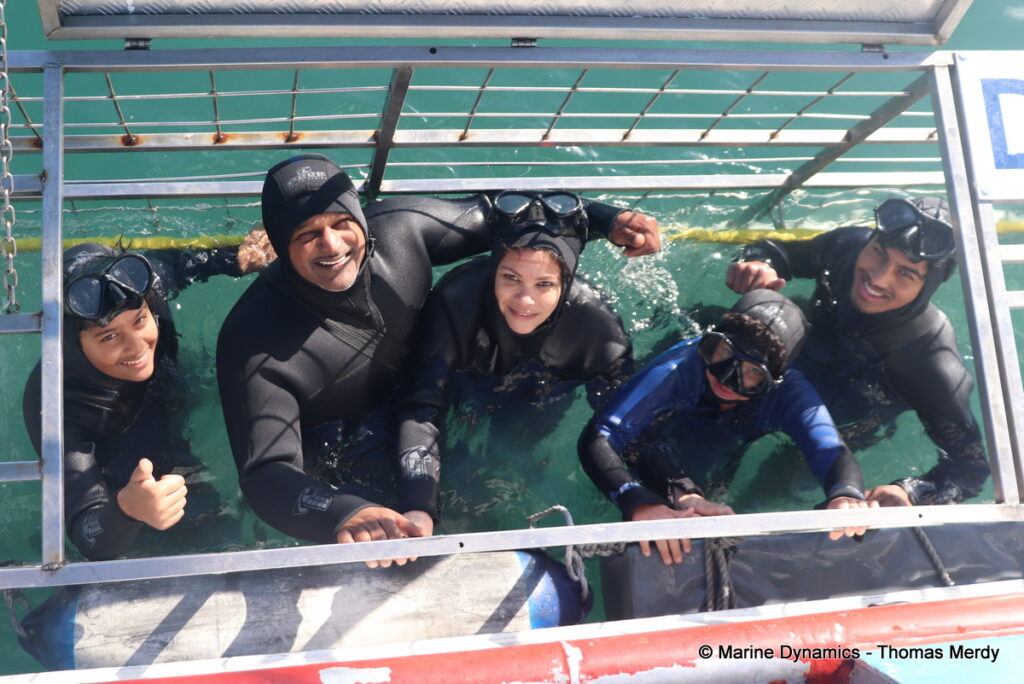 Shark cage diving, south africa, Gansbaai