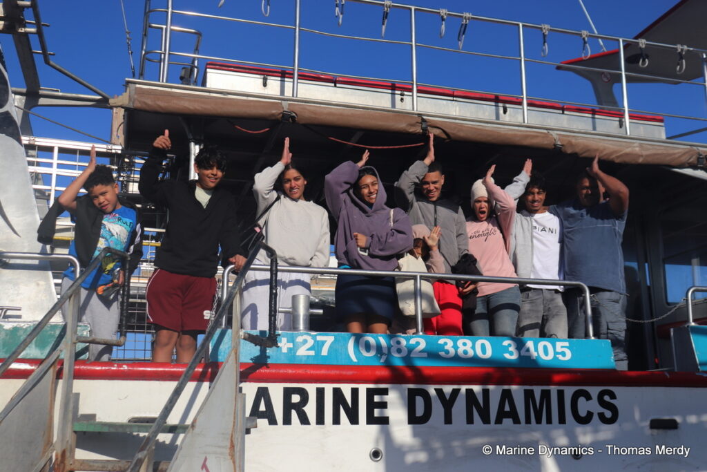 Shark cage diving, south africa, Gansbaai