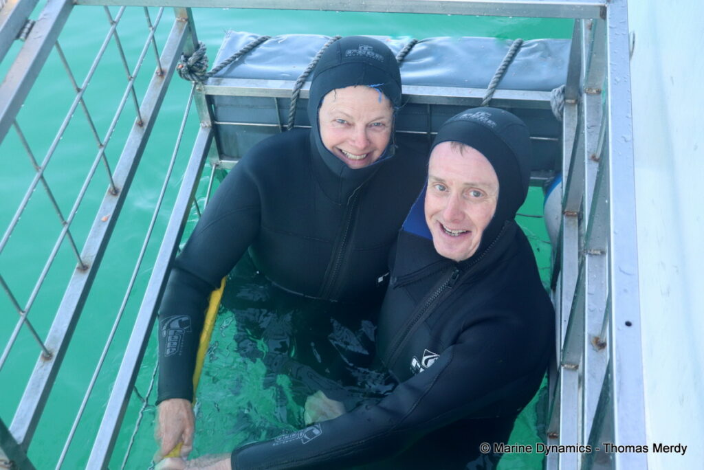Shark cage diving, South Africa, Gansbaai