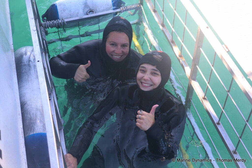 Shark cage diving, South Africa, Gansbaai