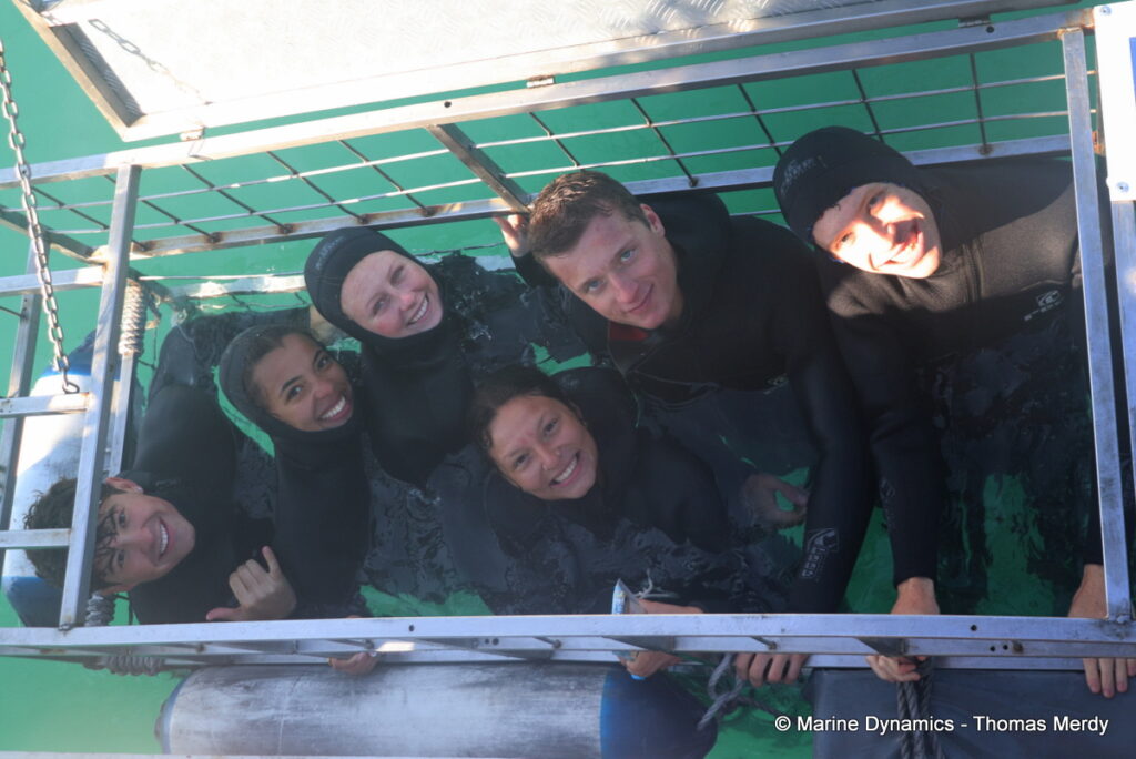 Shark cage diving, South Africa, Gansbaai