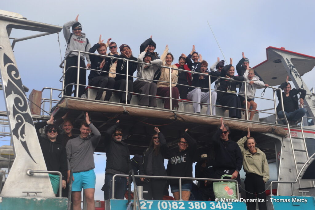 Shark cage diving, South Africa, Gansbaai