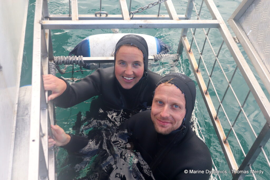 Shark cage diving, Gansbaai, South Africa