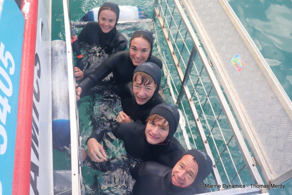 Shark cage diving, Gansbaai, South Africa